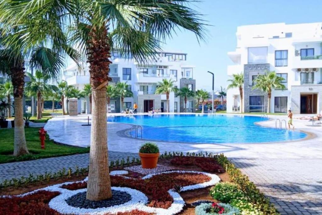 Appartement De Luxe ,Piscine,Parking,Terrasse Agadir Exteriör bild